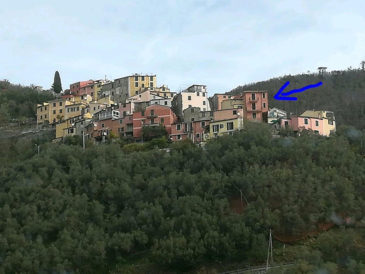 Casa Luna Rossa Levanto Kültér fotó